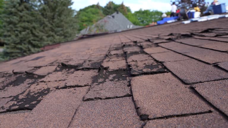 Professional Roofing Service in Hastings, MN