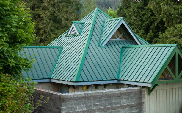 Best Roof Insulation Installation  in Hastings, MN
