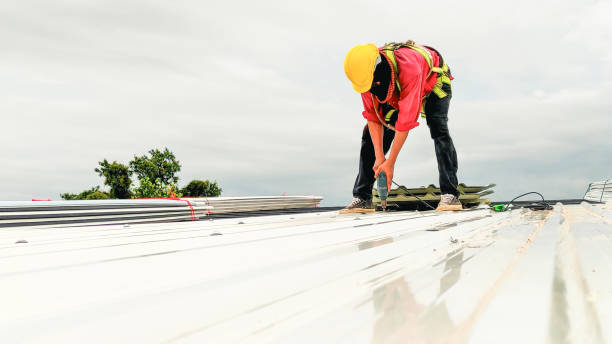 Best Roof Maintenance and Cleaning  in Hastings, MN