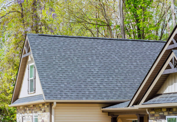 Best Sheet Metal Roofing  in Hastings, MN